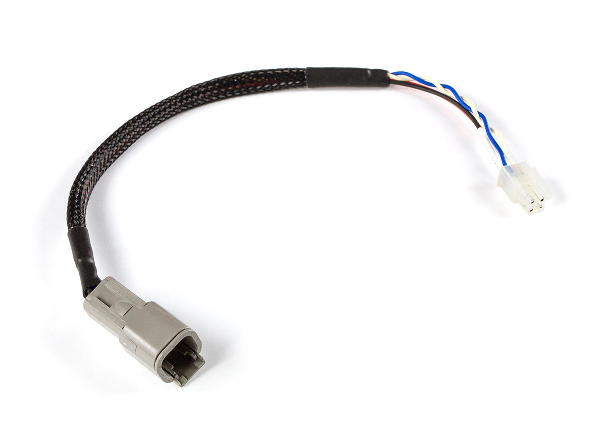 CAN Adaptor Loom (DTM-4 to Minifit Jr) - Suits Microtech – Haltech HT-130049