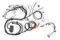 RB Twin CAM Main Harness, CAS Breakout, Early Ignition – Haltech HT-141230