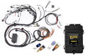 RB Terminated Harness Base Kit, Elite 2500 ECU, ATS, CTS – Haltech HT-151306