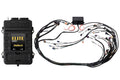Elite 2500 GM GEN III LS1 non DBW Terminated Harness Kit EV1 – Haltech HT-151360