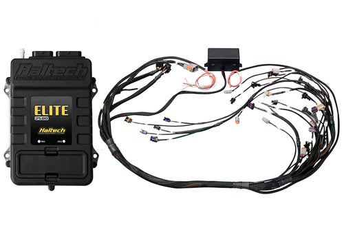 Elite 2500 GM Gen III LS1 DBW-Ready Terminated Harness Kit – EV1