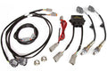 WB2 NTK - Dual Channel CAN O2 Wideband Controller Kit Length: 1.2M (4ft) – Haltech HT-159988