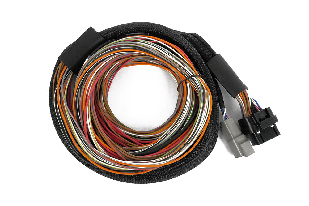 IO16 Universal Wire in harness 2.6M (8.5) – Haltech HT-180000