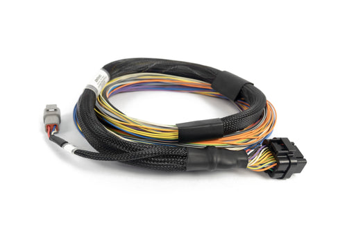 Nexus T2 / T1 Basic Universal Wire-in Harness