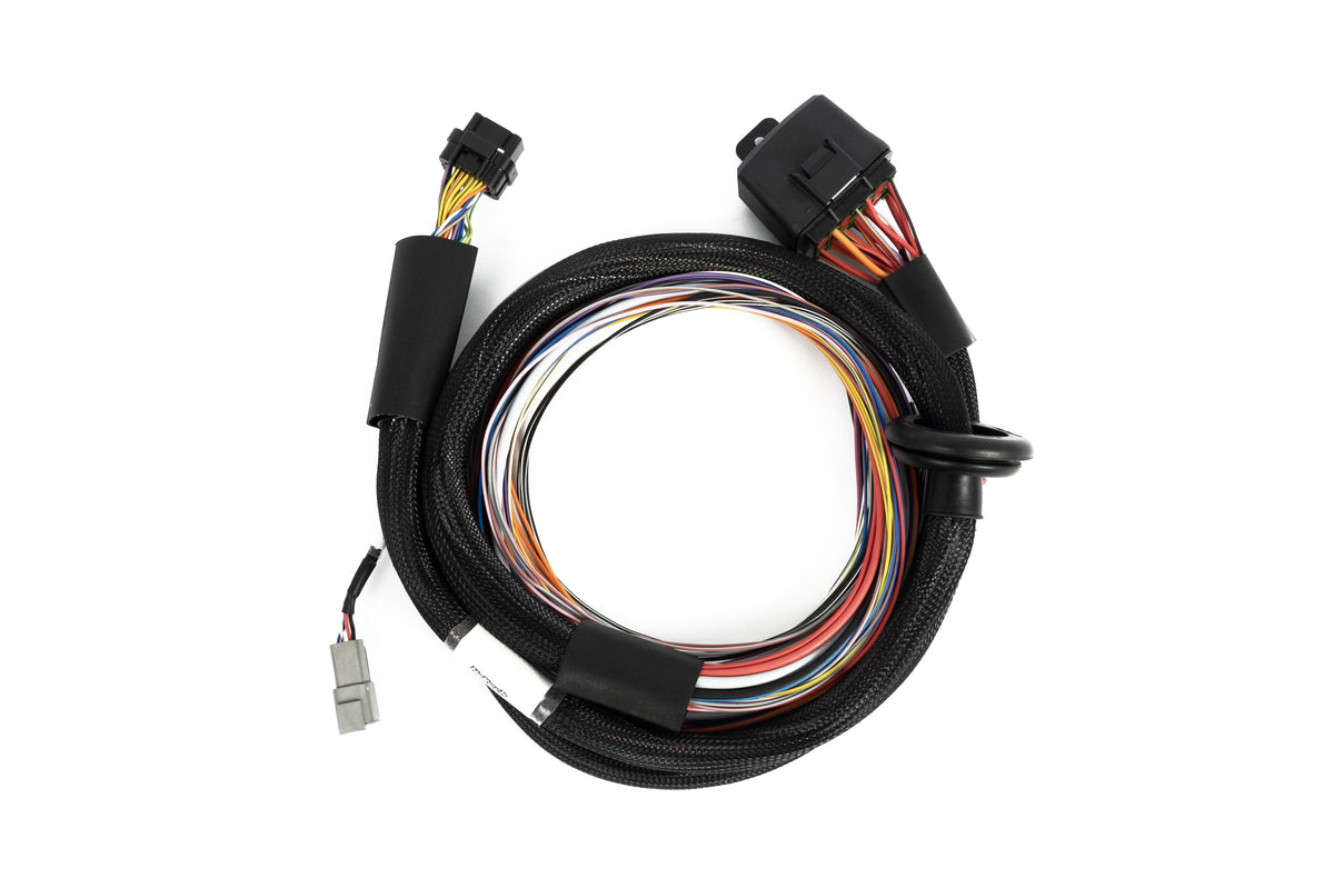 Nexus T2 / T1 Premium Universal Wire-in Harness – Haltech HT-181201