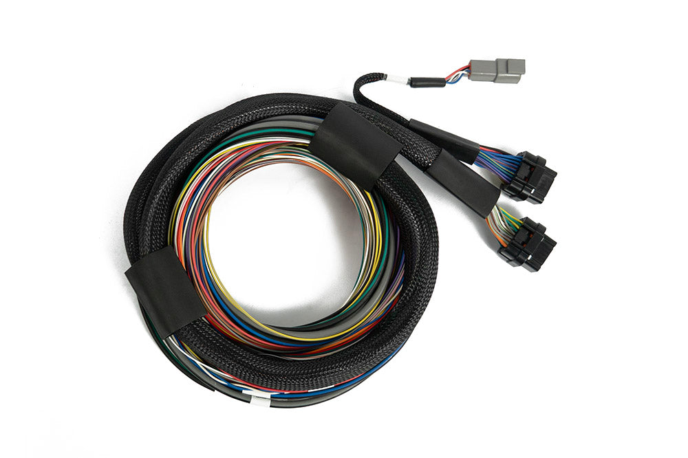 Nexus S3 / S2 Universal Wire-In Harness - 2.5m(8) – Haltech HT-182200
