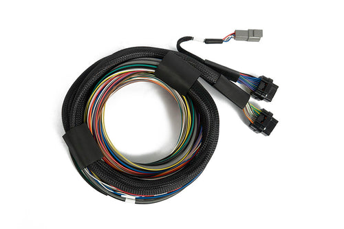 Nexus S3 / S2 Universal Wire-In Harness - 2.5m(8)