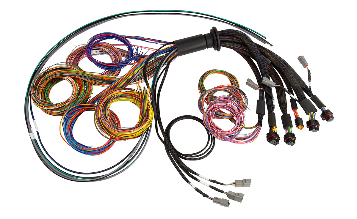 Nexus R5 Universal Wire-In harness - 2.5M (8) Length: 2.5M – Haltech HT-185200