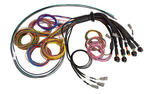 Nexus R5 Universal Wire-In harness- 5M (16) Length: 5M