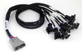 Nexus Universal V8 - Junior Timer (EV1) Injector Primary Breakout – Haltech HT-186000