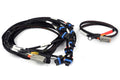 Nexus V8 IGN-1A Ford Harness – Haltech HT-186061