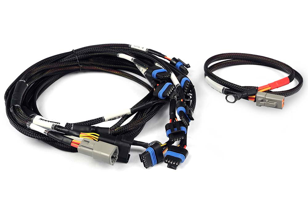 Nexus V8 IGN-1A Ford Harness – Haltech HT-186061