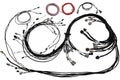 Universal V8 Terminated Engine Harness for Nexus R5 VCU – Haltech HT-186200