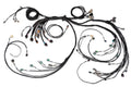 Nexus R5 LSx DBW Terminated Harness – Haltech HT-186205