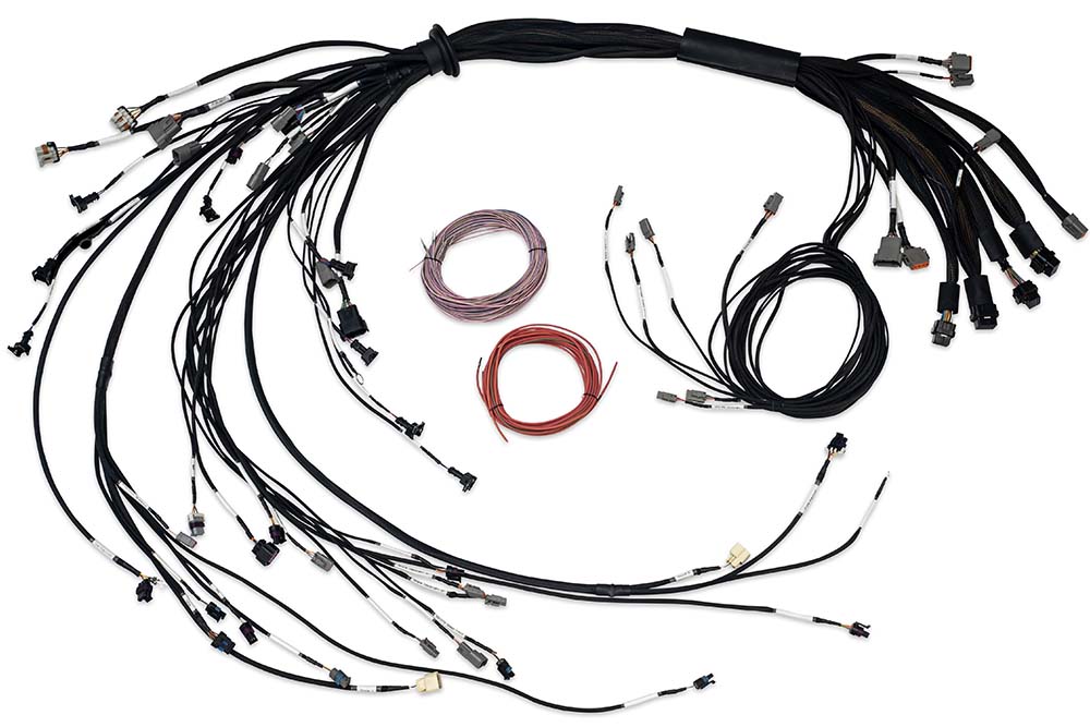 Nexus R5 LSx Non DBW Terminated Harness – Haltech HT-186206