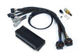 Nexus S2/S3 Plug n Play Adapter Harness - Honda AP1 / AP2 - Haltech HT-186330