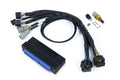Nexus S2/S3 Plug n Play Adapter Harness - Nissan Silvia S15 - Haltech HT-186341