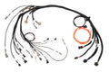 Nexus R3 Nissan RB 25/26/30 Terminated Harness – Haltech HT-186401
