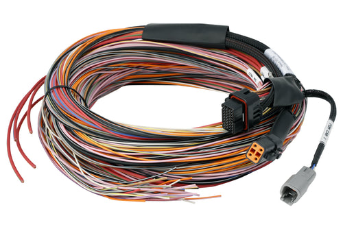 PD16 Wire-in harness - 5M / 16FT Length: 5M / 16FT